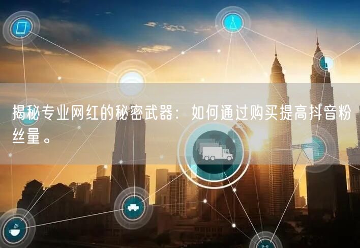 揭秘专业网红的秘密武器：如何通过购买提高抖音粉丝量。