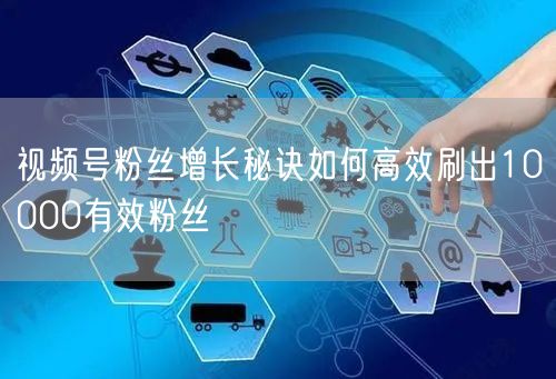 视频号粉丝增长秘诀如何高效刷出10000有效粉丝