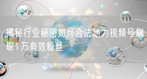 揭秘行业秘密如何合法地为视频号刷取1万有效粉丝