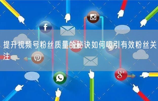 提升视频号粉丝质量的秘诀如何吸引有效粉丝关注