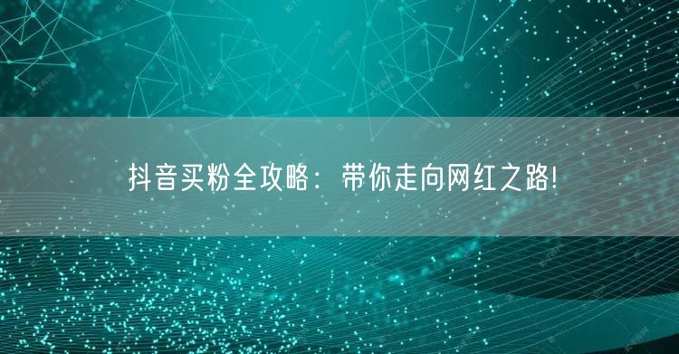 抖音买粉全攻略：带你走向网红之路!