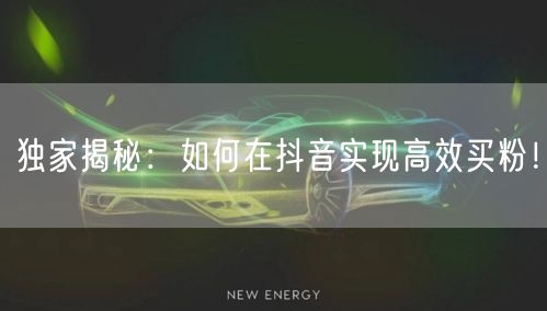 独家揭秘：如何在抖音实现高效买粉！