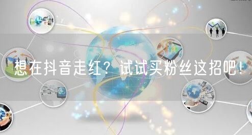 想在抖音走红？试试买粉丝这招吧！