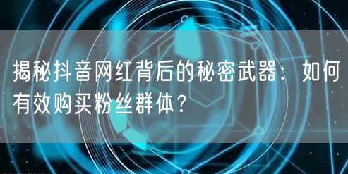 揭秘抖音网红背后的秘密武器：如何有效购买粉丝群体？