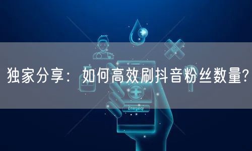 独家分享：如何高效刷抖音粉丝数量?