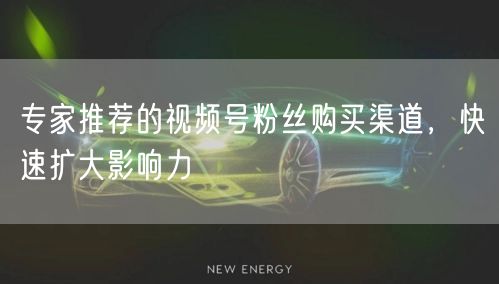 专家推荐的视频号粉丝购买渠道，快速扩大影响力