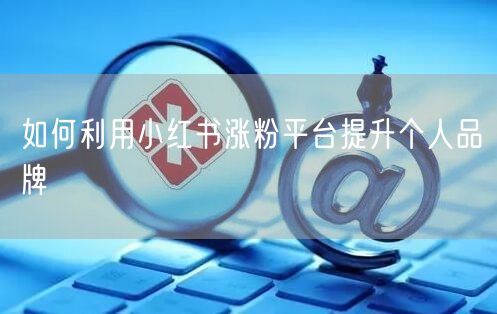 如何利用小红书涨粉平台提升个人品牌