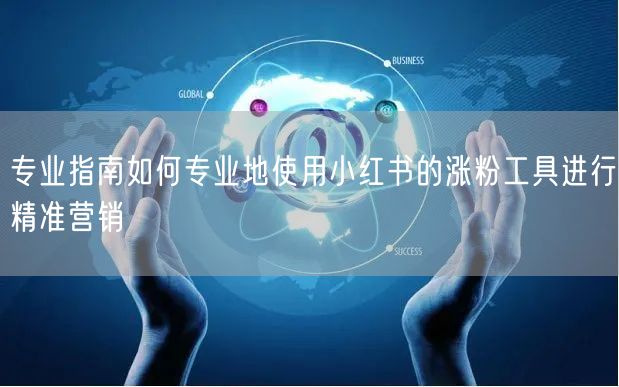 专业指南如何专业地使用小红书的涨粉工具进行精准营销