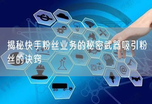 揭秘快手粉丝业务的秘密武器吸引粉丝的诀窍