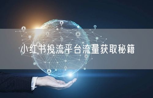 小红书投流平台流量获取秘籍