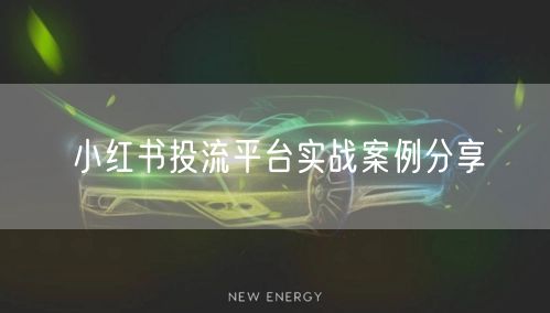 小红书投流平台实战案例分享