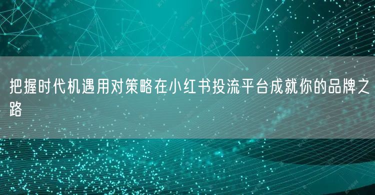 把握时代机遇用对策略在小红书投流平台成就你的品牌之路