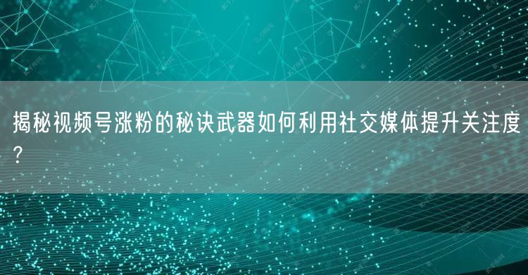 揭秘视频号涨粉的秘诀武器如何利用社交媒体提升关注度？
