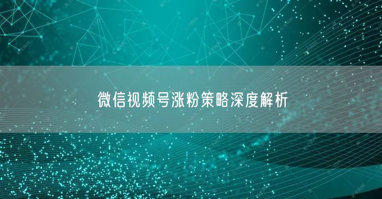 微信视频号涨粉策略深度解析