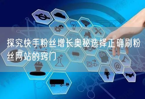 探究快手粉丝增长奥秘选择正确刷粉丝网站的窍门