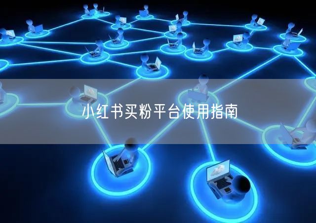 小红书买粉平台使用指南