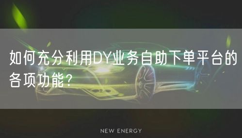 如何充分利用DY业务自助下单平台的各项功能？