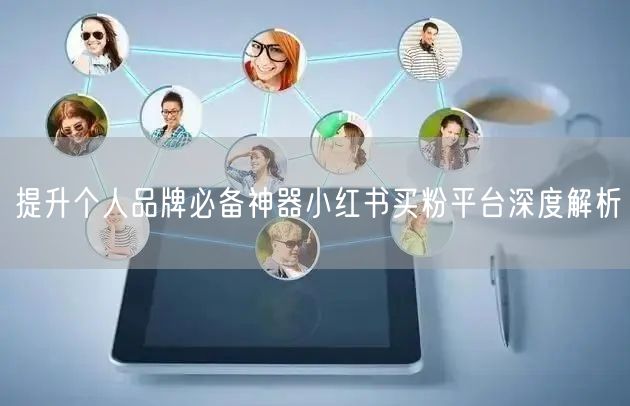 提升个人品牌必备神器小红书买粉平台深度解析