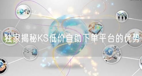 独家揭秘KS低价自助下单平台的优势
