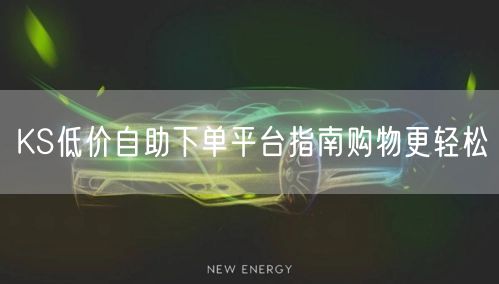 KS低价自助下单平台指南购物更轻松
