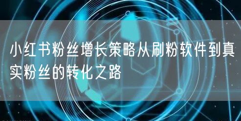 小红书粉丝增长策略从刷粉软件到真实粉丝的转化之路