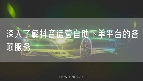 深入了解抖音运营自助下单平台的各项服务