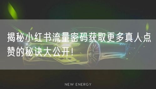 揭秘小红书流量密码获取更多真人点赞的秘诀大公开！