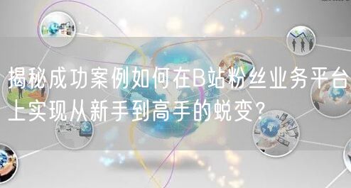 揭秘成功案例如何在B站粉丝业务平台上实现从新手到高手的蜕变？