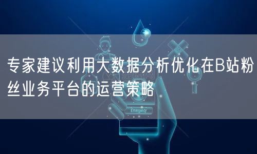 专家建议利用大数据分析优化在B站粉丝业务平台的运营策略
