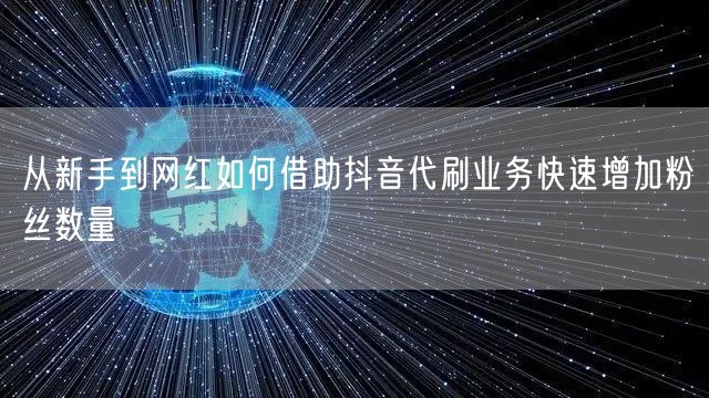 从新手到网红如何借助抖音代刷业务快速增加粉丝数量