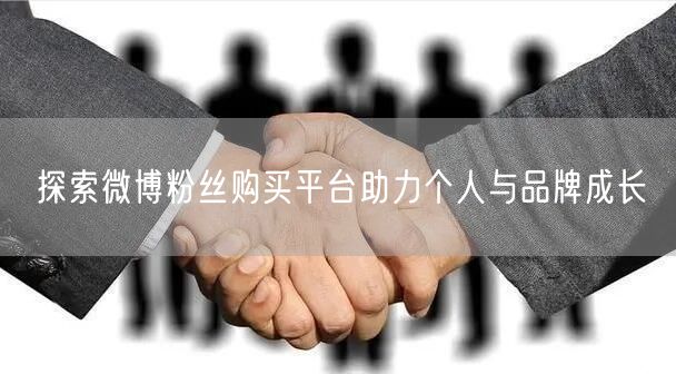 探索微博粉丝购买平台助力个人与品牌成长
