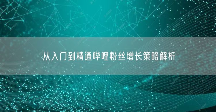 从入门到精通哔哩粉丝增长策略解析