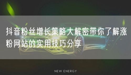 抖音粉丝增长策略大解密带你了解涨粉网站的实用技巧分享