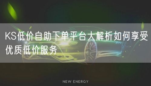 KS低价自助下单平台大解析如何享受优质低价服务