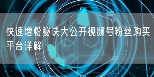 快速增粉秘诀大公开视频号粉丝购买平台详解