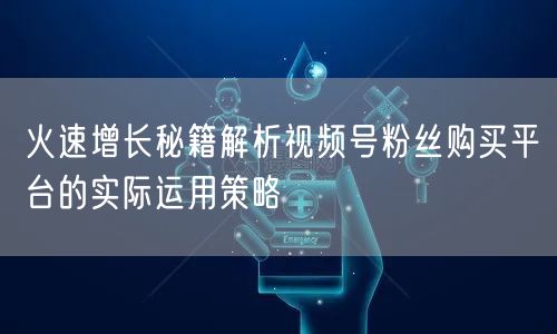 火速增长秘籍解析视频号粉丝购买平台的实际运用策略