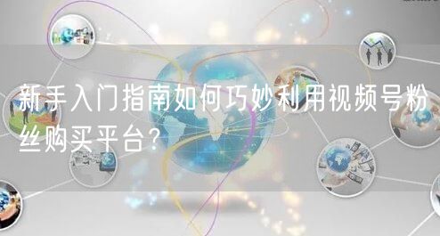 新手入门指南如何巧妙利用视频号粉丝购买平台？