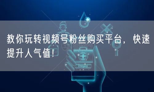 教你玩转视频号粉丝购买平台，快速提升人气值！