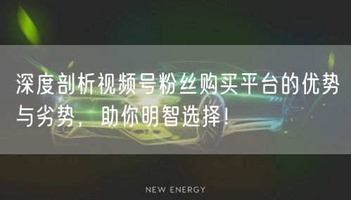深度剖析视频号粉丝购买平台的优势与劣势，助你明智选择！