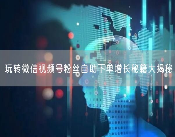 玩转微信视频号粉丝自助下单增长秘籍大揭秘
