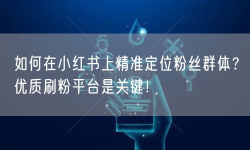 如何在小红书上精准定位粉丝群体？优质刷粉平台是关键！