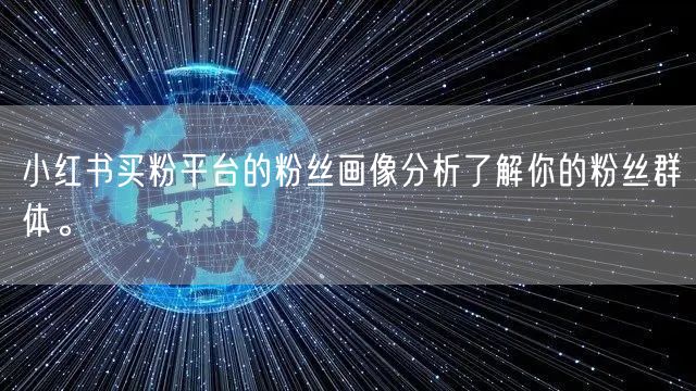小红书买粉平台的粉丝画像分析了解你的粉丝群体。
