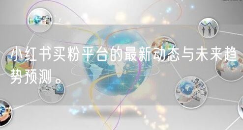 小红书买粉平台的最新动态与未来趋势预测。