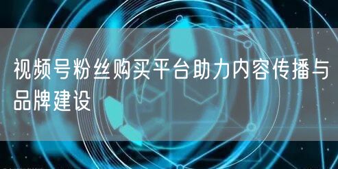 视频号粉丝购买平台助力内容传播与品牌建设