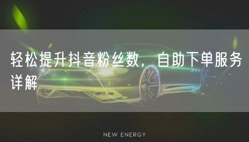 轻松提升抖音粉丝数，自助下单服务详解