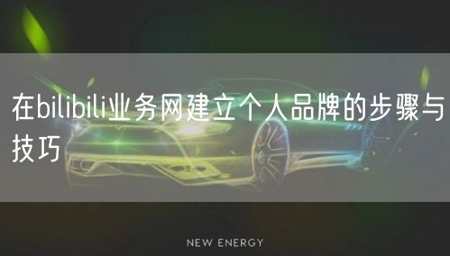 在bilibili业务网建立个人品牌的步骤与技巧