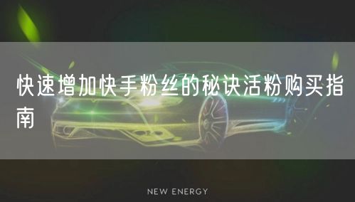 快速增加快手粉丝的秘诀活粉购买指南