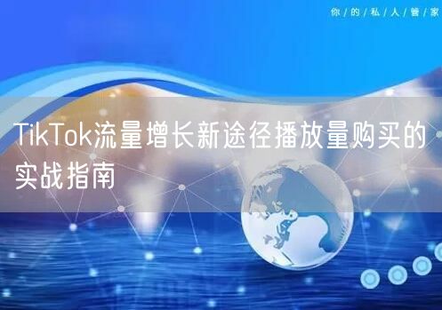 TikTok流量增长新途径播放量购买的实战指南